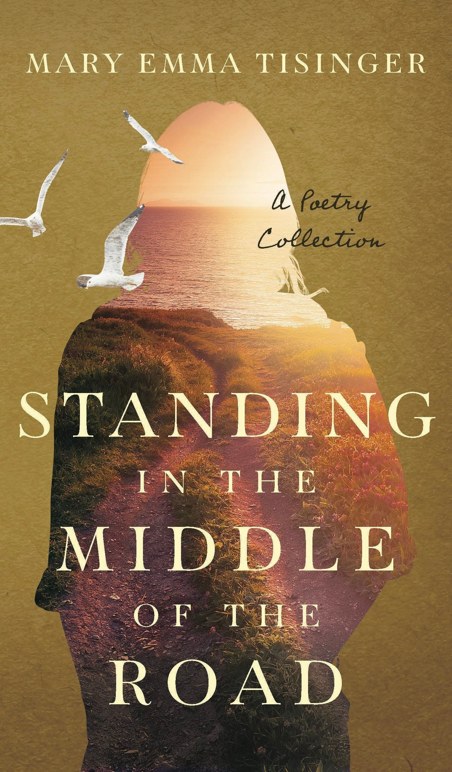 Book cover image for Standing in the Middle of the Road ISBN: 9781956370782